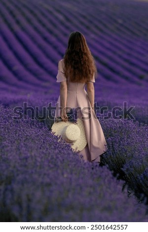 #A# Lavender Light