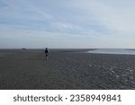 A woman walks across the mudflats of the Waddensea at low tide, Holland