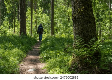 A woman walks along a path in the forest. Back view of a tourist with a backpack. Hiking through a forest area. Ecological trail among the trees. Travel, ecotourism and outdoor activities. Summer. - Powered by Shutterstock