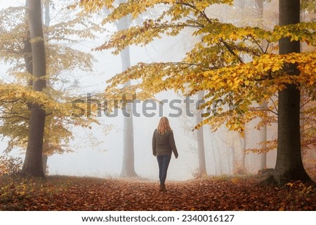 Woman walks in autumn misty forest. Moody atmosphere in foggy woodland at fall season