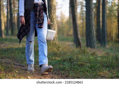 Woman walks with basket of mushrooms and berries among trees. Female legs in jeans walking on small grass pathway among tree trunks through wood closeup crop body. City woman adventure in