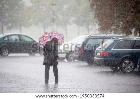 Similar – Under my umbrella Mensch