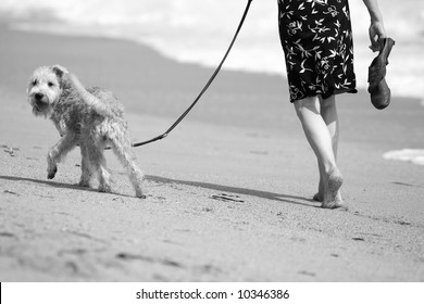 Woman Walks Her Dog On Beach