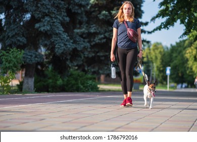 A woman walks with her dog in urban background. Having pets in town, acessories for puppies, lifestyle with dogs, smooth fox terrier breed