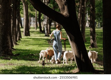 woman walks with her dogs in park, each dog on leash. view from back. happy pets of different sizes and breeds. girl is wearing blue jumpsuit. walking dogs, animal shelter, pet training. - Powered by Shutterstock