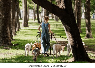 woman walks with her dogs in park, each dog on leash. view from back. happy pets of different sizes and breeds. girl is wearing blue jumpsuit. walking dogs, animal shelter, pet training. - Powered by Shutterstock