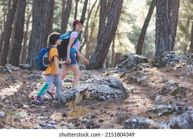 A woman walks with her son through the forest, The boy with his mother go hiking, A child with a backpack is in the park, Travel with children, The kid holds mom's hand, Mountain trail, Mothers Day. - Shutterstock ID 2151804349