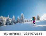 A woman walks in snowshoes in the snow, winter trekking, a person in the mountains in winter, hiking equipment