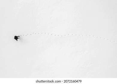 a woman walks through fresh snow leaving footprints, top aerial view, winter outdoor activity background with copy space - Powered by Shutterstock