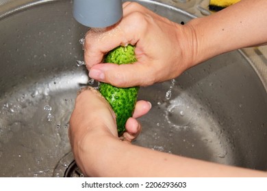 A Woman Washes A Ripe Cucumber Under Running Water In The Sink In The Kitchen