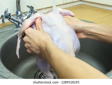 Woman Washing Fresh Raw Hen In Kitchen Sink. Cooking Chicken At Home. Close-up, Selective Focus.