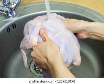 Woman Washing Fresh Raw Hen In Kitchen Sink. Cooking Chicken At Home. Close-up, Selective Focus.