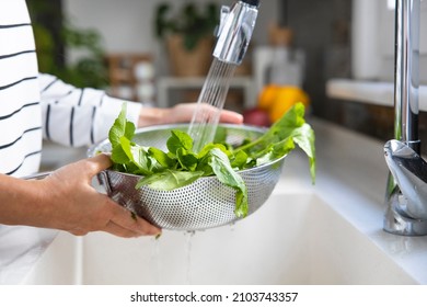 Woman washing green arugula salad greens in colander by kitchen sink. Healthy foods