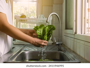 Woman washing vegetables at the sink in home kitchen, vegetable washing with water food hygiene and food safty concept. - Powered by Shutterstock