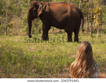 A woman watching an Asian elephant in the jungle in Cambodia in Mondulkiri in Cambodia