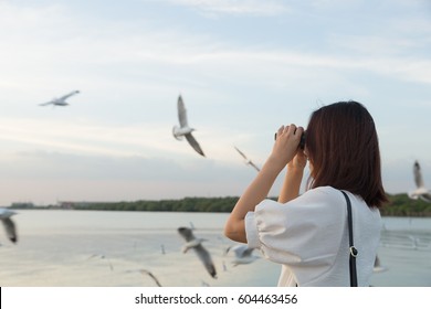 Woman Watching Bird Watching By The Sea During The Evening At Sunset.