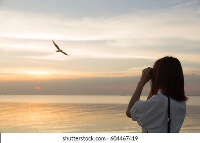 Woman Watching Bird Watching By The Sea During The Evening At Sunset.