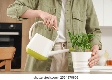 Woman watering basil plant in kitchen - Powered by Shutterstock