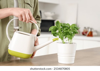 Woman watering basil plant in kitchen - Powered by Shutterstock