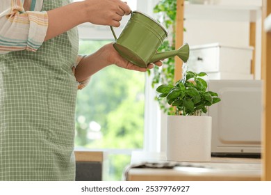 Woman watering basil plant in kitchen - Powered by Shutterstock