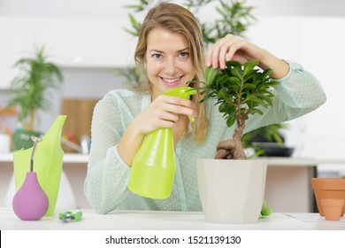 a woman is watering a bonsai - Powered by Shutterstock