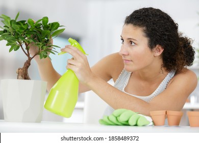 A Woman Is Watering A Bonsai