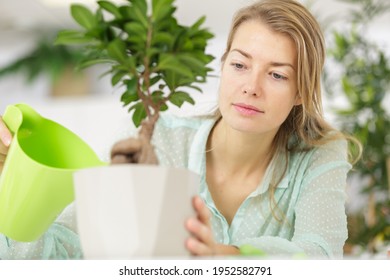 A Woman Watering Bonsai Tree