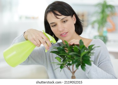 A Woman Watering Bonsai Tree