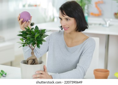 A Woman Watering Bonsai Tree