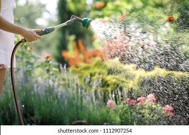 woman watering garden flowers with hose in summer - Powered by Shutterstock