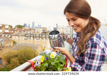 Woman Watering Plant In Container On Rooftop Garden