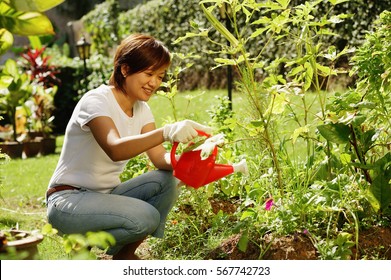 Woman Watering Plants In Garden