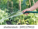 Woman watering plants with water from a hose in a summer garden.