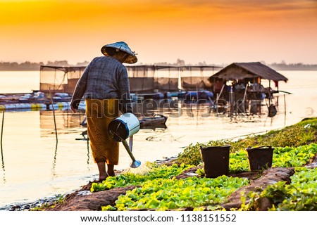 Woman watering vegetables on the banks of the Mekong River.