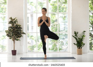 Woman wear black activewear practise yoga performs Tree pose standing on mat inside of cozy room with plants and greenery behind panoramic window Vrksasana Vriksasana asana, healthy lifestyle concept - Powered by Shutterstock