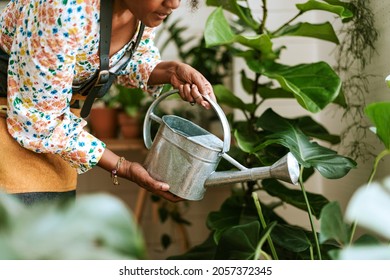 Woman Wearing Apron Watering Indoor Plants