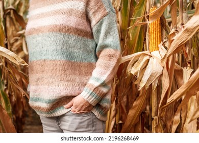 Woman Wearing Colorful Knitted Sweater Outdoors. Fall Fashion Clothing. Female Farmer Standing In Corn Field