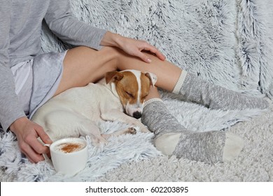 Woman Wearing Cozy Warm Wool Socks Relaxing At Home, Drinking Cacao, Winter Morning Concept, Top View. Soft, Comfy Lifestyle.