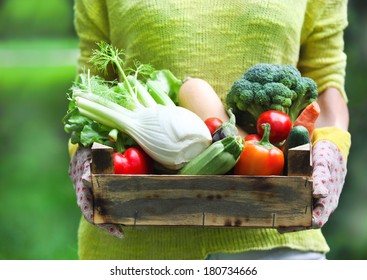 Woman wearing gloves with fresh vegetables in the box in her hands. Close up