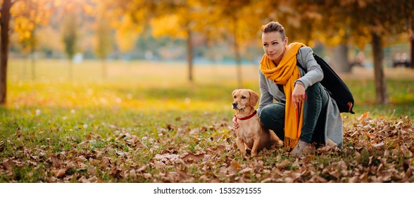 Woman Wearing Grey Coat And Yellow Scarf Kneeling With Small Brown Dog Under The Tree At The Park In Autumn