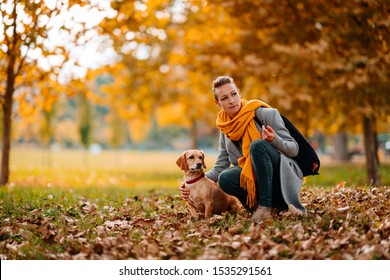 Woman Wearing Grey Coat And Yellow Scarf Kneeling With Small Brown Dog Under The Tree At The Park In Autumn