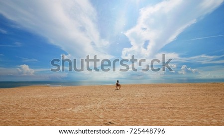 A woman wearing a hat riding a beach horse on a beautiful sky day.