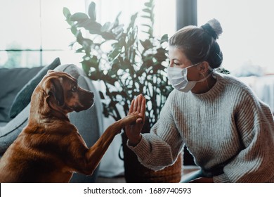 Woman wearing a protective face mask cuddles, plays with her dog at home because of the corona virus pandemic covid-19 - Shutterstock ID 1689740593