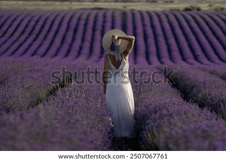 Similar – #A# purple morning dew 1