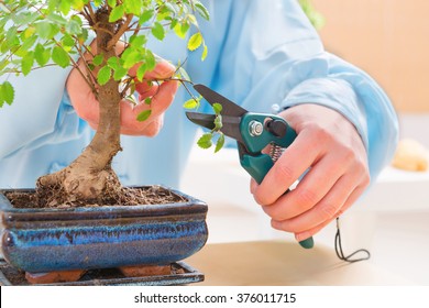 Woman wearing traditional chinese uniform trimming bonsai tree - Powered by Shutterstock