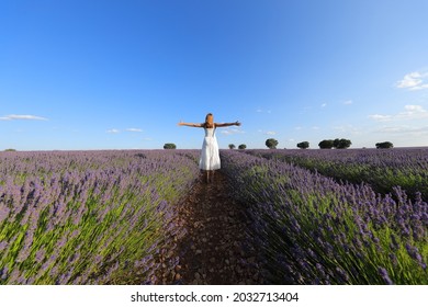 Woman wearing white dress celebrating outstretching arms in a lavender field