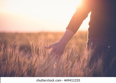 Woman In A Wheat Field In The Sun