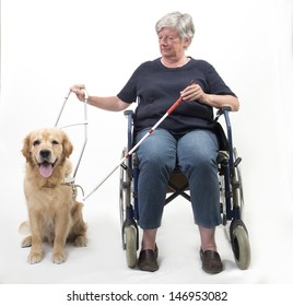 Woman In Wheelchair With Guide Dog Isolated On White