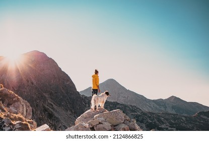 woman with white dog sitting on mountain top in summer landscape slow travel and freedom concept