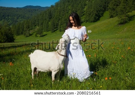 A woman in a white dress with a white goat walks in the Altai mountains in summer.